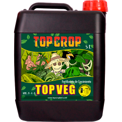 Top Crop Top Veg - Imagen 1