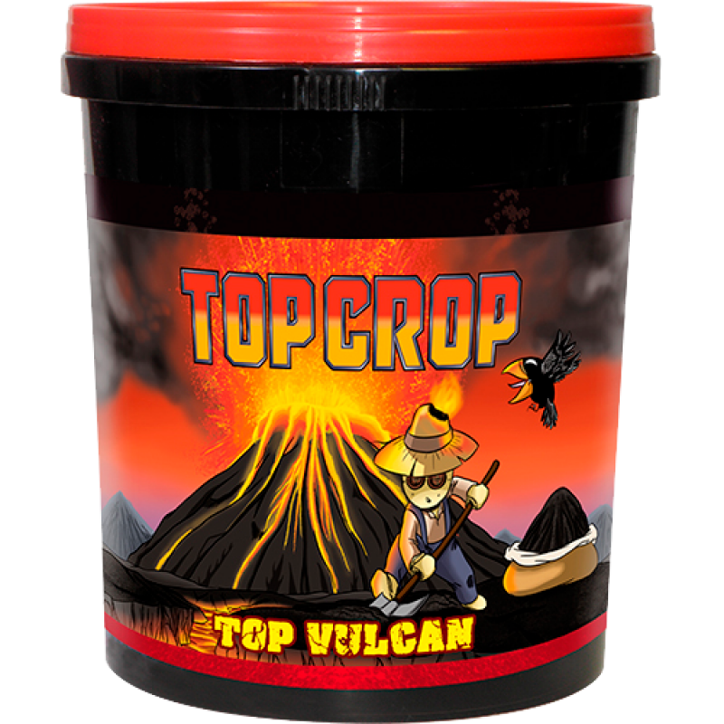 Top Crop Top Vulcan (Harina de Lava) - Imagen 1