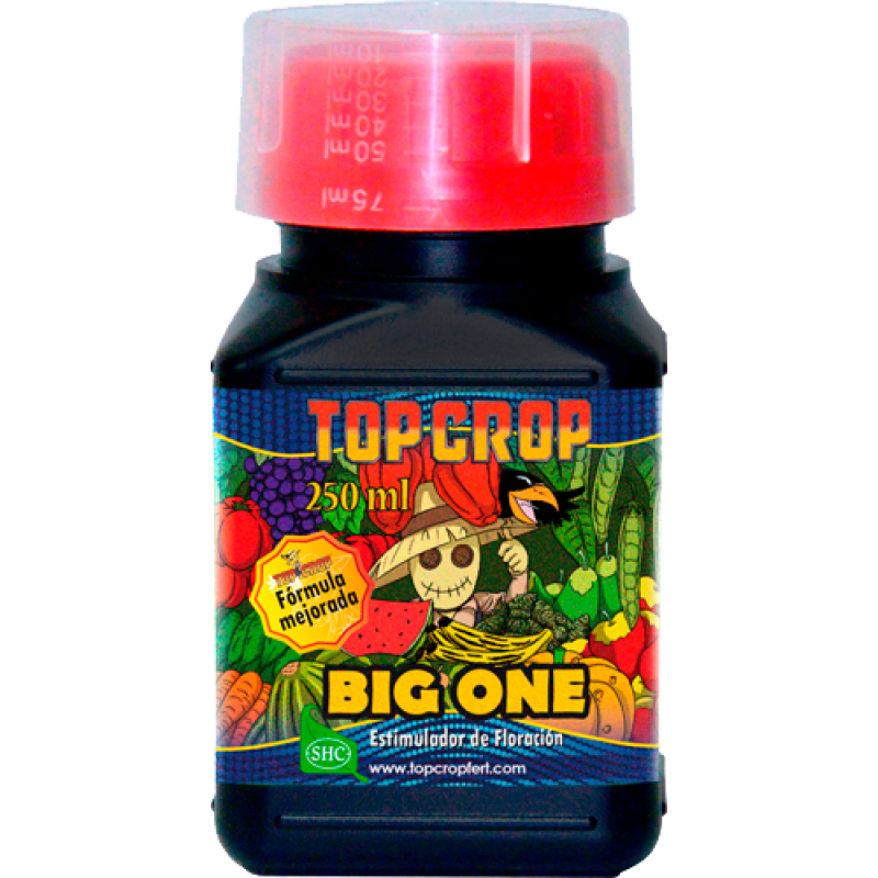 Top Crop Big One - Imagen 1