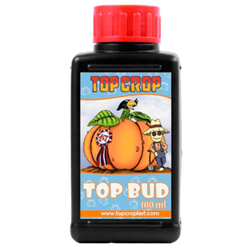 Top Crop Top Bud - Imagen 1 Top Crop Top Bud - Imagen 1