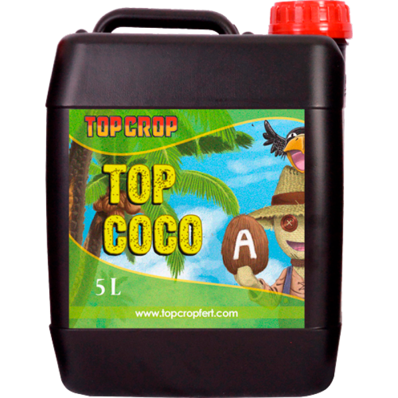 Top Crop Top Coco A - Imagen 1