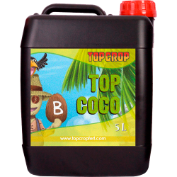 Top Crop Top Coco B - Imagen 1