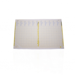 Trampa Adhesiva Amarilla 40x25cm Folio (10Und) - Imagen 1