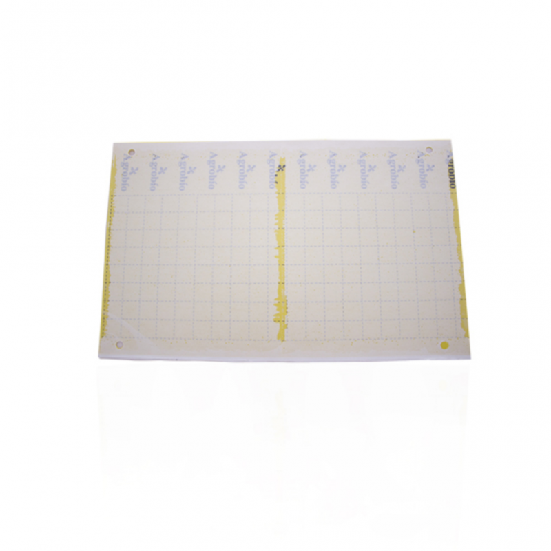 Trampa Adhesiva Amarilla 40x25cm Folio (10Und) - Imagen 1