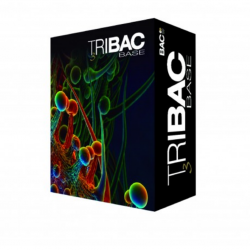 B.A.C. Tribac - Imagen 1