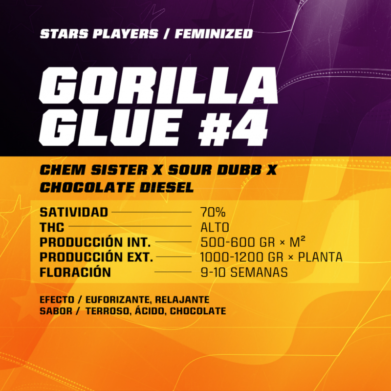 BSF Seeds Gorilla Glue #4 - Imagen 1 BSF Seeds Gorilla Glue #4 - Imagen 1