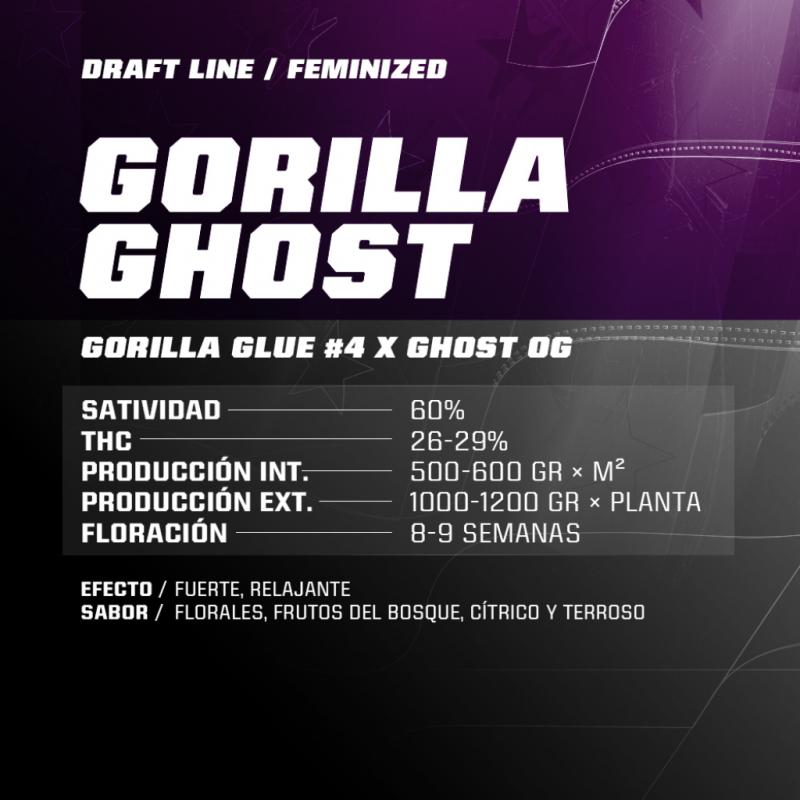 BSF Seeds Gorilla Ghost - Imagen 1 BSF Seeds Gorilla Ghost - Imagen 1