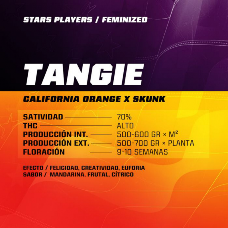 BSF Seeds Tangie - Imagen 1