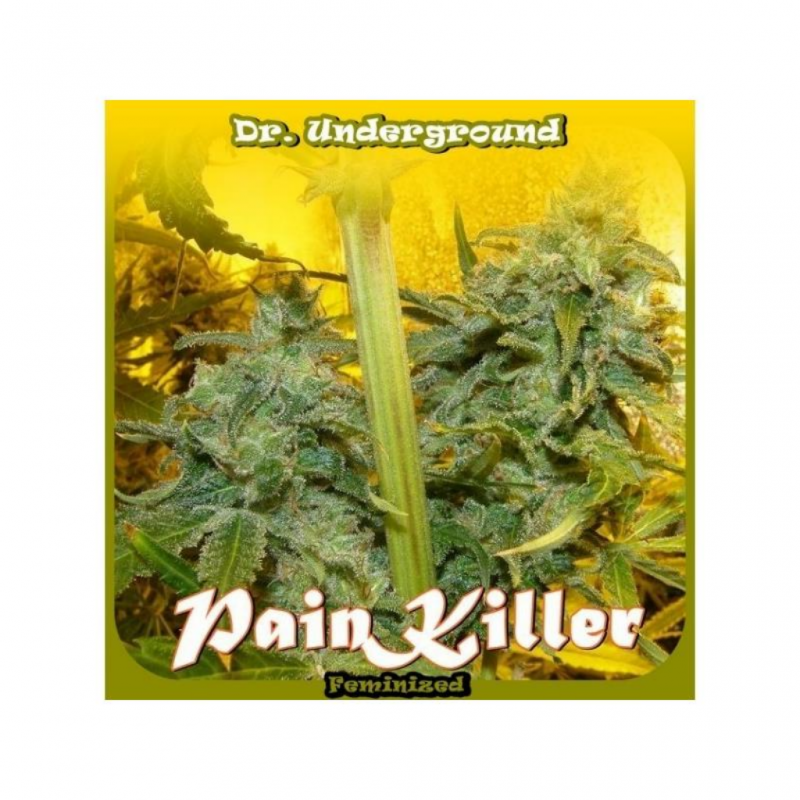 Dr Underground Painkiller Fem. - Imagen 1