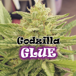 Dr Underground Godzilla Glue Fem. - Imagen 1