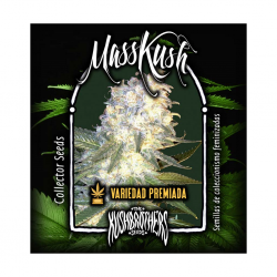 The Kush Brothers Mass Kush Fem - Imagen 1