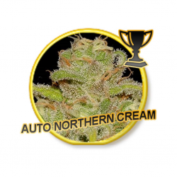 Mr. Hide Auto Nother Cream - Imagen 1