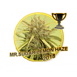 Mr. Hide Mr. Sugar Lemon Haze Reg - Imagen 1