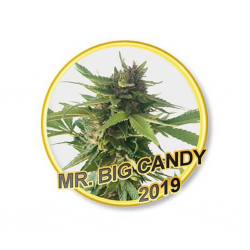 Mr. Hide Mr. Big Candy Reg - Imagen 1