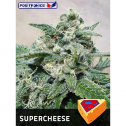 Positronics Supercheese Fem - Imagen 1