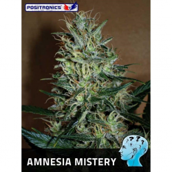 Positronics Amnesia Mistery Fem - Imagen 1