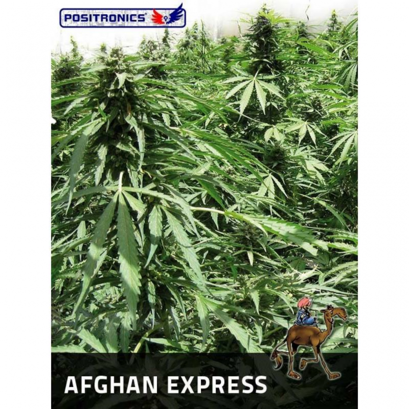 Positronics Afghan Express - Imagen 1