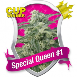 Royal Queen Special Queen 1 Fem. - Imagen 1