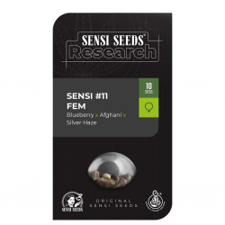 Sensi Seeds Research Sensi #11 Fem - Imagen 1