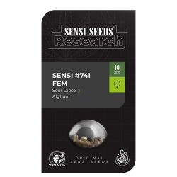 Sensi Seeds Research Sensi #741 fem - Imagen 1