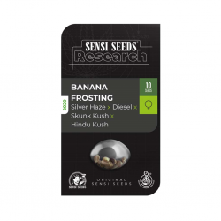 Sensi Seeds Banana Frosting Fem - Imagen 1