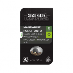 Sensi Seeds Mandarine Punch Auto - Imagen 1