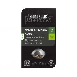 Sensi Seeds Sensi Amnesia Auto - Imagen 1