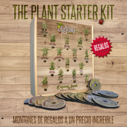 The Plant Starter Kits - Imagen 1