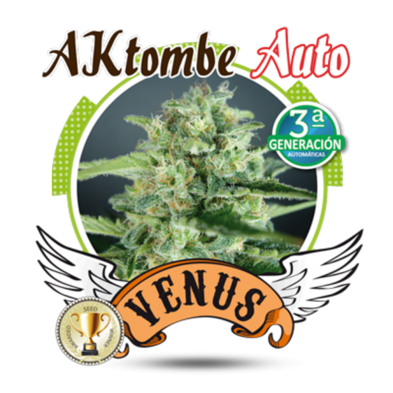 Venus Genetics AKtombe Auto - Imagen 1