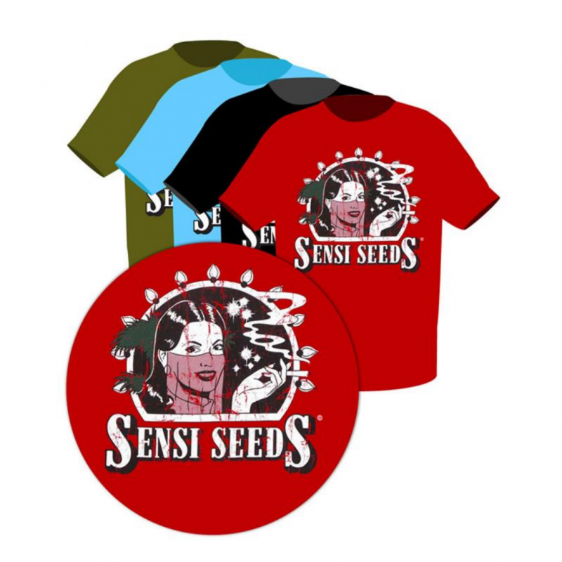 Camiseta Logo Original Azul Sensi Seeds - Imagen 1