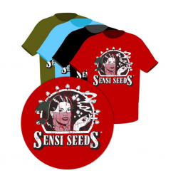 Camiseta Logo Original Negra Sensi Seeds - Imagen 1