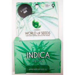 World Of Seed Indica Collection 8Und Fem - Imagen 1