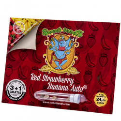 Sweet Seeds Auto Red Strawberry Banana - Imagen 1
