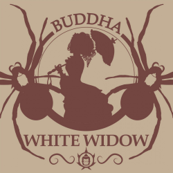Buddha Seeds Classic White Widow Fem - Imagen 1