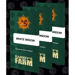 Barney´S Farm White Widow Fem - Imagen 1