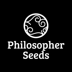 Philosopher Seeds CBD Mix Fem 6Und