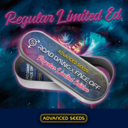 Advanced Seeds Edicion Especial Road Dawg x Face Off Reg