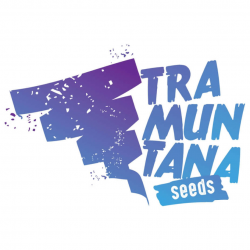 Tramuntana Seeds Animal Cookies x Larry OG Fem
