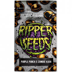 Ripper Seeds Edicion Limitada (Purple Punch x Zombie Kush) 3Und Fem