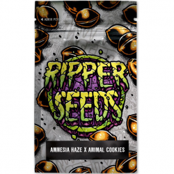 Ripper Seeds Edicion Limitada (Amnesia Haze x Animal Cookies) 3Und Fem