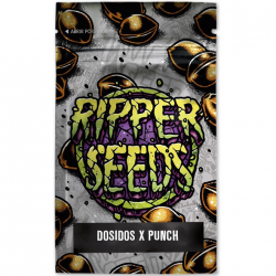 Ripper Seeds Edicion Limitada (Do-Si-Dos x Purple Punch) 3Und Fem