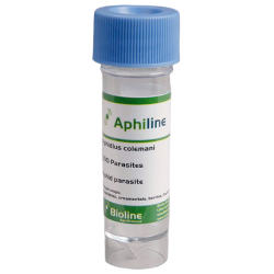 Aphiline Veg - Vial - 500 Individuos - Aphidius colemani + A. ervi + Aphelinus abdominalis (Pulgón)