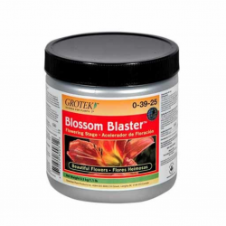 Grotek Blossom Blaster (20Gr a 1Kg) - Imagen 1