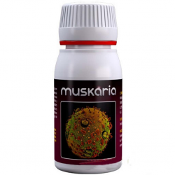 Agrobacterias Muskaria 60ml - Imagen 1