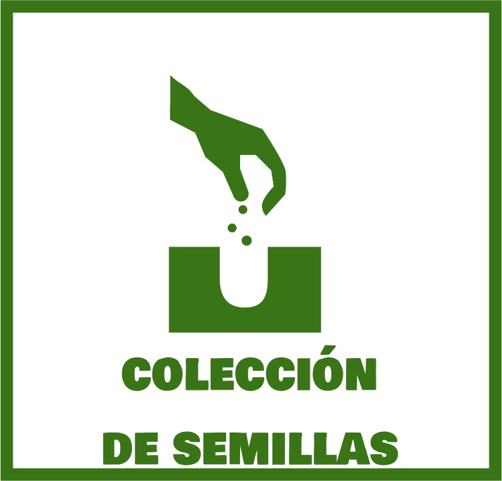 COLECCIÓN DE SEMILLAS