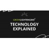Growlightengine